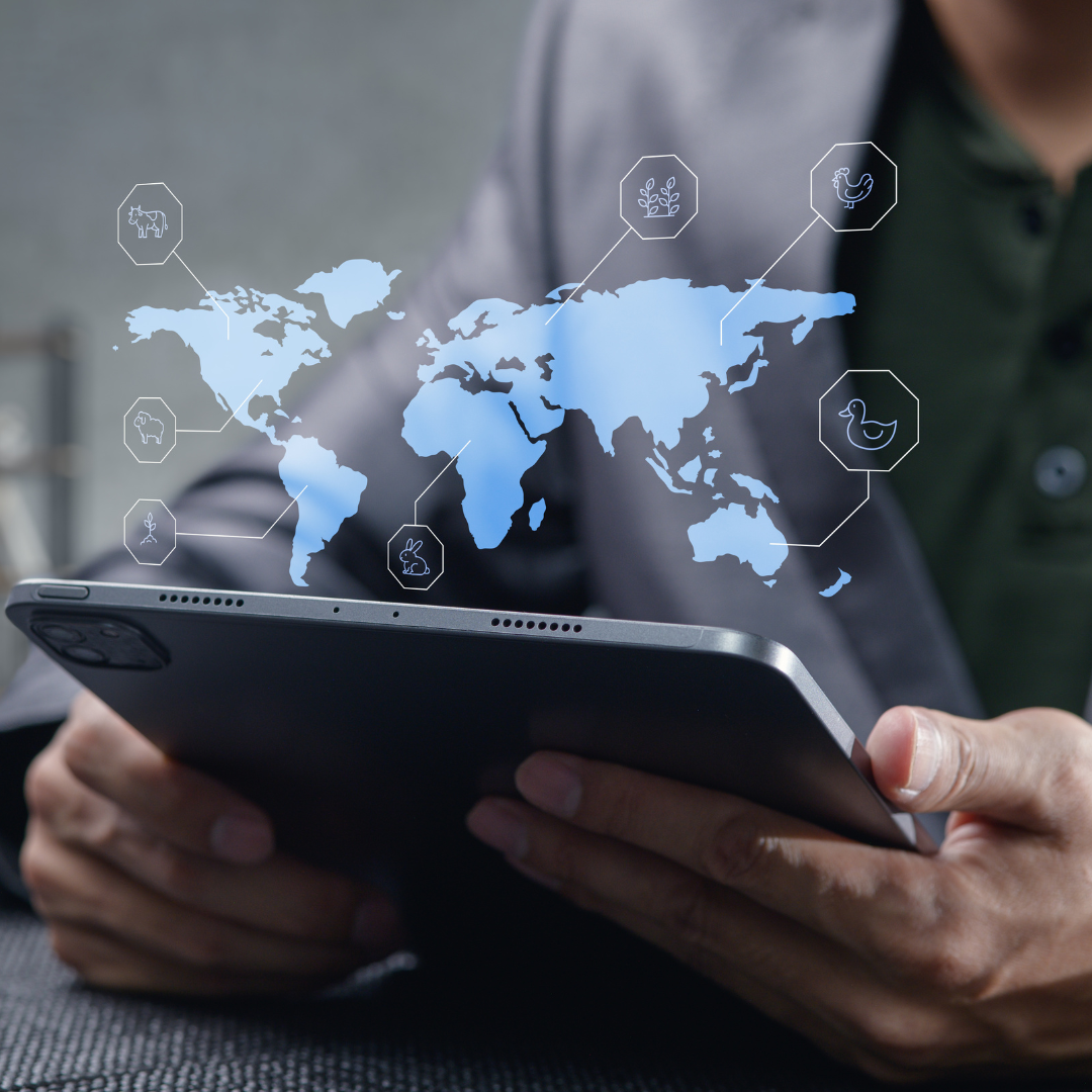 Minh họa các phân hệ DMS